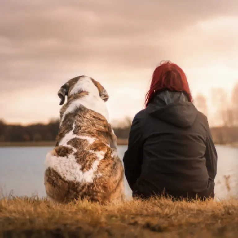 Mensch und großer Hund sitzen im Sonnenuntergang am See – achtsame Begleitung, tiefe Mensch-Hund-Verbindung