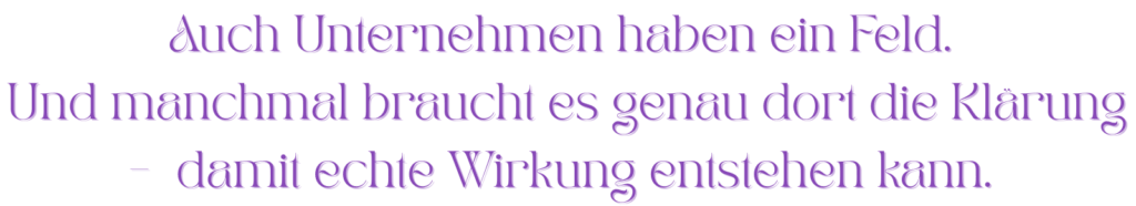 Schriftzug: ‚Auch Unternehmen haben ein Feld. Und manchmal braucht es genau dort die Klärung – damit echte Wirkung entstehen kann.‘ – Zitat zur energetischen Klärung in Unternehmen
