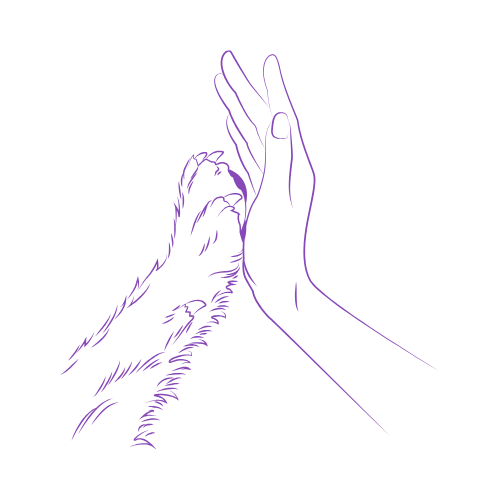 Grafische Darstellung eines High-Fives zwischen Hundepfote und Menschenhand – Symbol für Vertrauen, Verbindung und Partnerschaft zwischen Mensch und Hund.