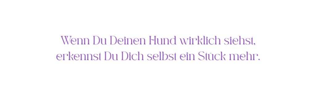 Zitat in lila Schrift: ‚Wenn du deinen Hund wirklich siehst, erkennst du dich selbst ein Stück mehr.‘ – Ausdruck tiefer Verbindung und Selbstreflexion durch die Beziehung zum Hund.